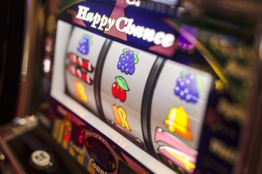 winlive4d alternatif Arcade